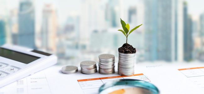 The tree  growing on money coin stack for investment,  business newspaper with financial report on desk of investor real estate business.  Investment property growth Concept
